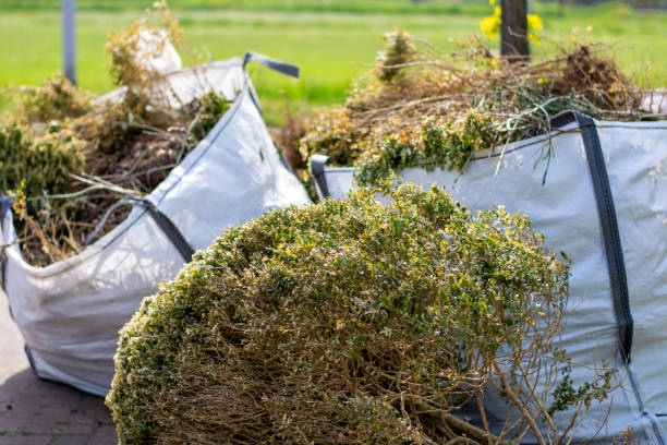 Best Professional Junk Removal  in Lecanto, FL