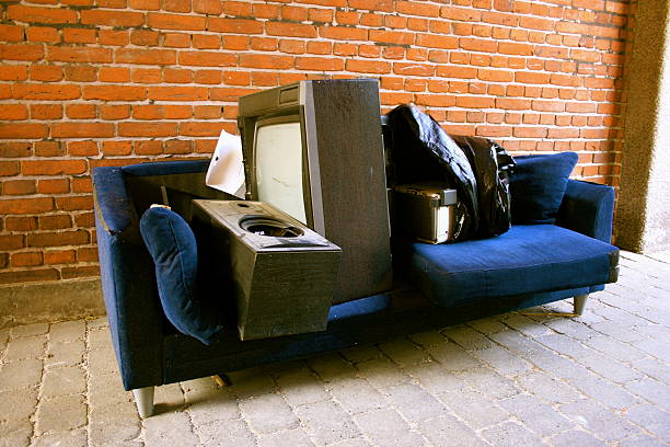 Best Dumpster Rental Services  in Lecanto, FL